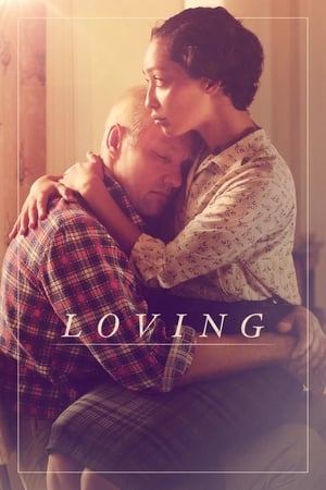 Loving (2016) Hindi Dual Audio 420MB HD Poster Download - Filmyzilla