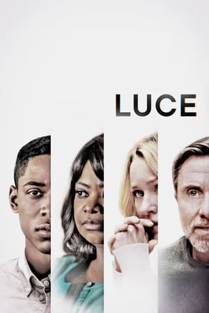 Luce 2019 Hindi Dual Audio 340MB HD Poster Download - Filmyzilla