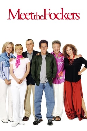 Meet the Fockers 2004 Hindi Dual Audio 350MB HD Poster Download - Filmyzilla