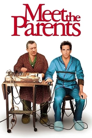 Meet the Parents 2000 Hindi Dual Audio [930MB] HD Poster Download - Filmyzilla