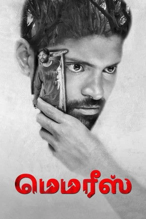 Memories 2023 Hindi Dual Audio HD Poster Download - Filmyzilla