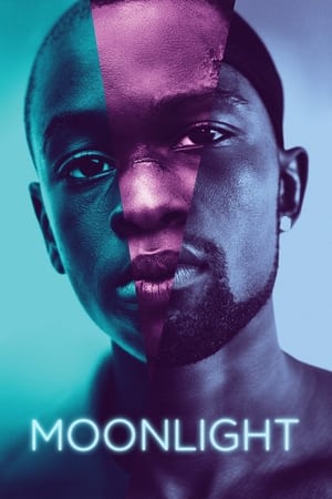 Moonlight (2016) Full Movie [] 800MB HD Poster Download - Filmyzilla