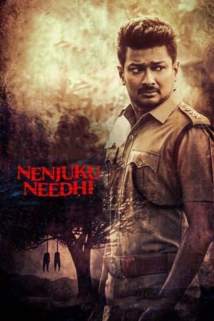 Nenjuku Needhi 2022 Hindi (HQ-Dub) – HD Poster Download - Filmyzilla