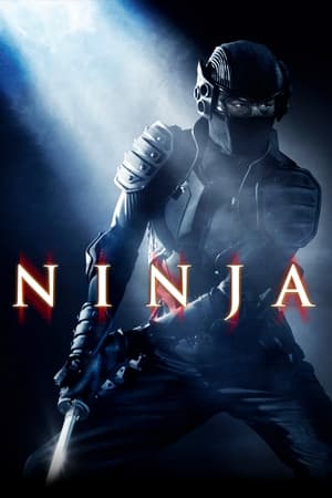 Ninja (2009) Hindi Dual Audio – HD Poster Download - Filmyzilla