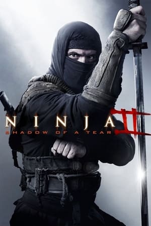 Ninja Shadow of a Tear 2013 Hindi Dual Audio 300MB HD Poster Download - Filmyzilla
