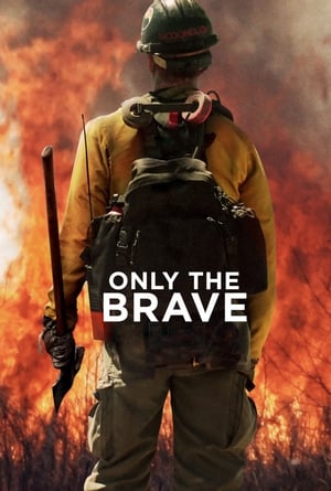 Only the Brave 2017 Hindi Dual Audio – HD Poster Download - Filmyzilla