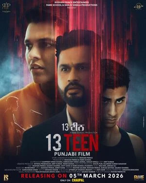 13 Teen 2026 Punjabi Audio HD Poster Download - Filmyzilla