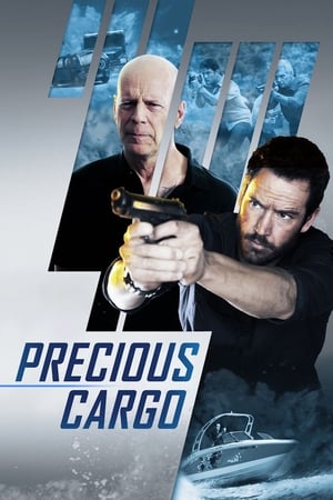 Precious Cargo (2016) Hindi Dual Audio [920MB] HD Poster Download - Filmyzilla