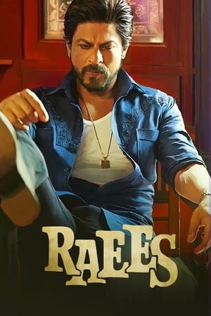 Raees 2017 400MB Full Movie HD Poster Download - Filmyzilla