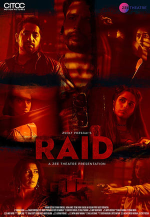 Raid 2019 Hindi Movie - [250MB] HD Poster Download - Filmyzilla