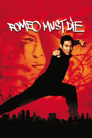 Romeo Must Die (2000) 100mb Hindi Dual Audio movie Download HD Poster Download - Filmyzilla