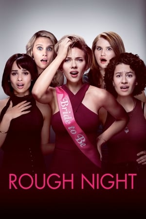Rough Night (2017) Hindi Dual Audio [800MB] HD Poster Download - Filmyzilla