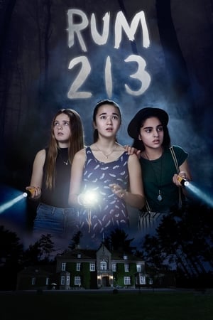 Rum 213 2017 Hindi Dual Audio 280MB HD Poster Download - Filmyzilla
