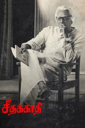 Seethakaathi (2018) Hindi Dubbed [1.1GB] HD Poster Download - Filmyzilla
