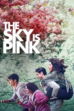 Sky Is Pink (2019) Hindi Movie – [450MB] HD Poster Download - Filmyzilla