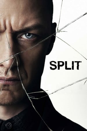 Split (2017) Full Movie Download [HD-] 450MB HD Poster Download - Filmyzilla