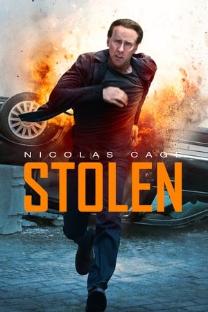 Stolen (2012) Hindi Dual Audio 300MB ESubs HD Poster Download - Filmyzilla