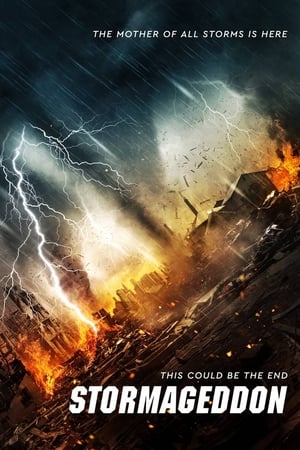 Stormageddon (2015) Hindi Dual Audio 290MB HD Poster Download - Filmyzilla