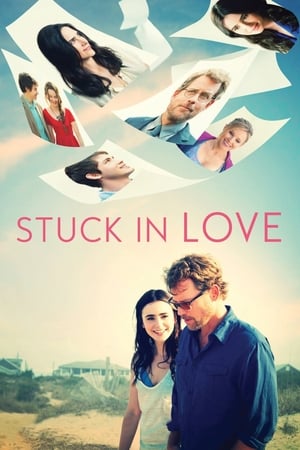 Stuck in Love (2012) Hindi Dual Audio 300MB HD Poster Download - Filmyzilla