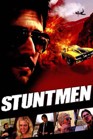 Stuntmen 2009 Hindi Dual Audio [800MB] HD Poster Download - Filmyzilla