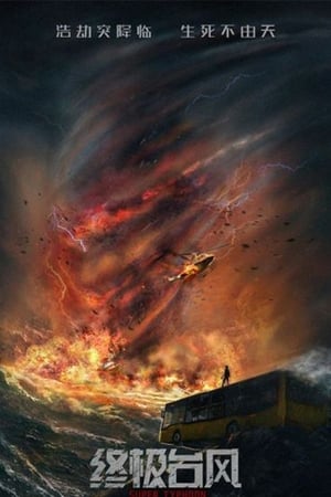 Super Typhoon 2020 Hindi Dual Audio – HD Poster Download - Filmyzilla