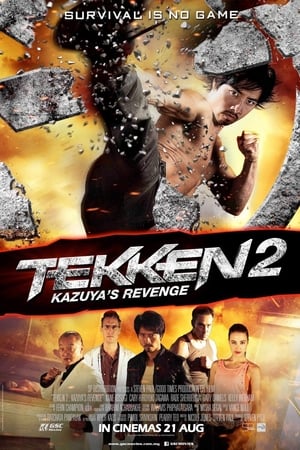 Tekken Kazuyas Revenge 2014 Hindi Dual Audio 300MB HD Poster Download - Filmyzilla