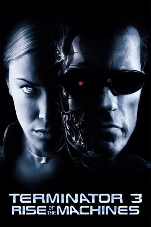 Terminator 3: Rise of the Machines (2003) Hindi Dual Audio [850MB] HD Poster Download - Filmyzilla