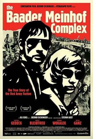 The Baader Meinhof Complex (2008) Hindi Dual Audio 500MB HD Poster Download - Filmyzilla