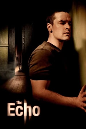 The Echo (2008) Hindi Dual Audio [900MB] HD Poster Download - Filmyzilla