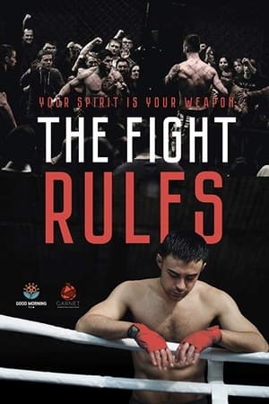 The Fight Rules 2017 Hindi Dual Audio [730MB] HD Poster Download - Filmyzilla