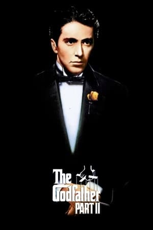 The Godfather Part II (1974) Dual Audio Hindi Full Movie - 1GB HD Poster Download - Filmyzilla
