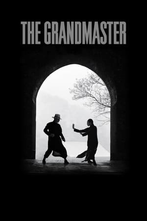 The Grandmaster (2013) Hindi Dual Audio [1GB] ESubs HD Poster Download - Filmyzilla
