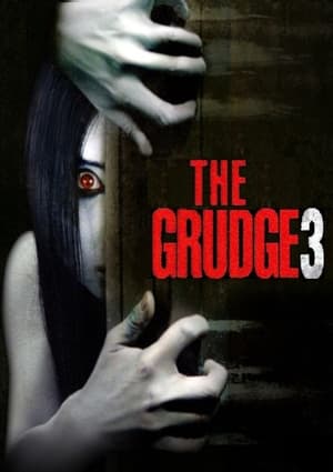The Grudge 3 2009 Hindi Dual Audio 300MB HD Poster Download - Filmyzilla