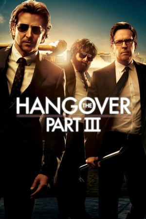The Hangover Part III (2013) Hindi Dual Audio [850MB] HD Poster Download - Filmyzilla