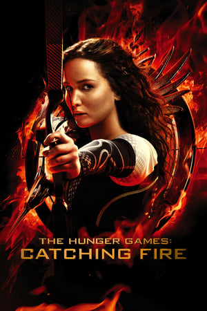 The Hunger Games Catching Fire 2013 Hindi Dual Audio 480MB HD Poster Download - Filmyzilla