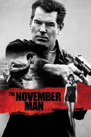 The November Man 2014 Dual Audio [Hindi – English] – 720p – HD Poster Download - Filmyzilla