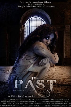 The Past 2018 Hindi Movie - [350MB] HD Poster Download - Filmyzilla
