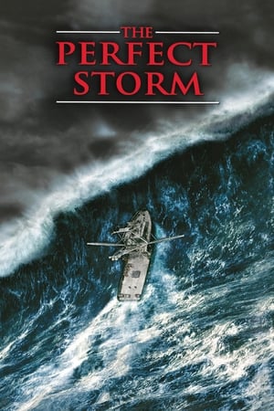 The Perfect Storm (2000) Hindi Dual Audio 450MB HD Poster Download - Filmyzilla