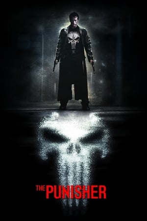 The Punisher 2004 Hindi Dual Audio HD Poster Download - Filmyzilla