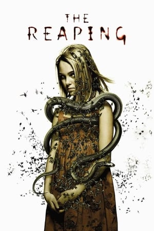 The Reaping (2007) Hindi Dual Audio 340MB HD Poster Download - Filmyzilla