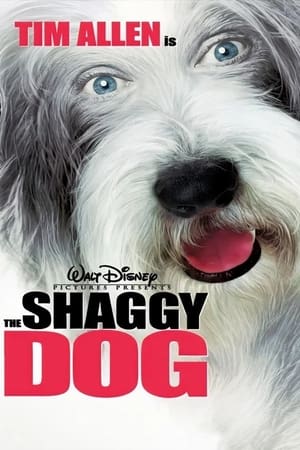 The Shaggy Dog (2006) Hindi Dual Audio 300MB HD Poster Download - Filmyzilla