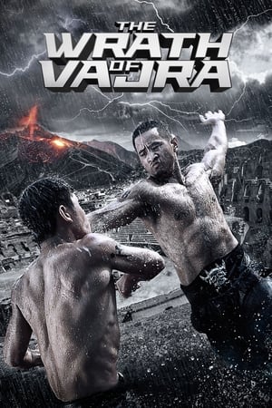 The Wrath of Vajra (2013) Hindi Dual Audio [900MB] HD Poster Download - Filmyzilla