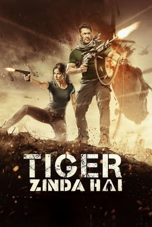 Tiger Zinda Hai 2017 Hindi Movie [700MB] HD Poster Download - Filmyzilla
