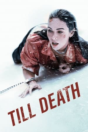 Till Death (2021) Hindi Dual Audio 350MB HD Poster Download - Filmyzilla