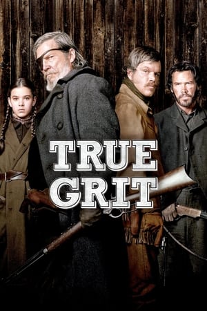 True Grit (2010) Hindi Dual Audio [950MB] HD Poster Download - Filmyzilla