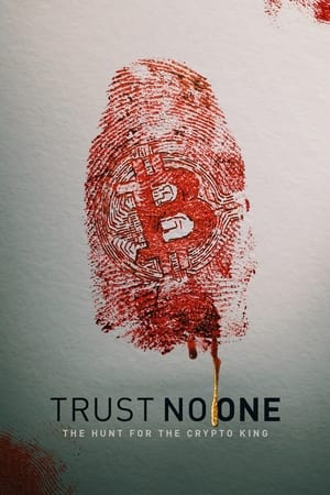 Trust No One: The Hunt for the Crypto King (2022) Hindi Dual Audio – HD Poster Download - Filmyzilla