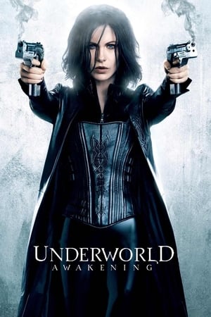 Underworld Awakening (2012) 100mb Hindi Dual Audio movie Download HD Poster Download - Filmyzilla