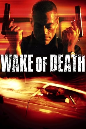 Wake of Death 2004 Hindi Dual Audio 300MB HD Poster Download - Filmyzilla