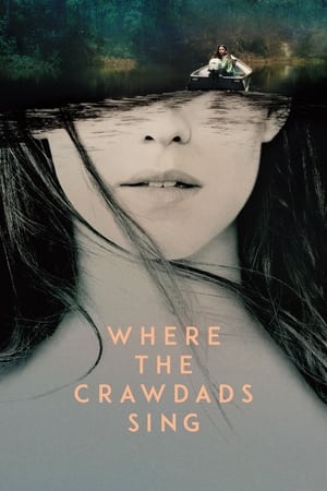 Where the Crawdads Sing (2022) Hindi Dual Audio – HD Poster Download - Filmyzilla