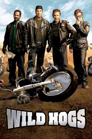 Wild Hogs (2007) Hindi Dual Audio [750MB] HD Poster Download - Filmyzilla